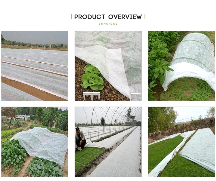 Spot Supply of Agricultural Cold-Proof Plastic Film for Planting Cooling and Sunscreen Covering Non-Woven Vegetable Covering Film Protection